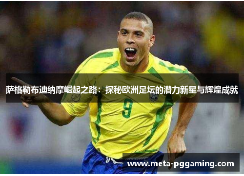 萨格勒布迪纳摩崛起之路：探秘欧洲足坛的潜力新星与辉煌成就